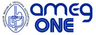 AMEG Logo