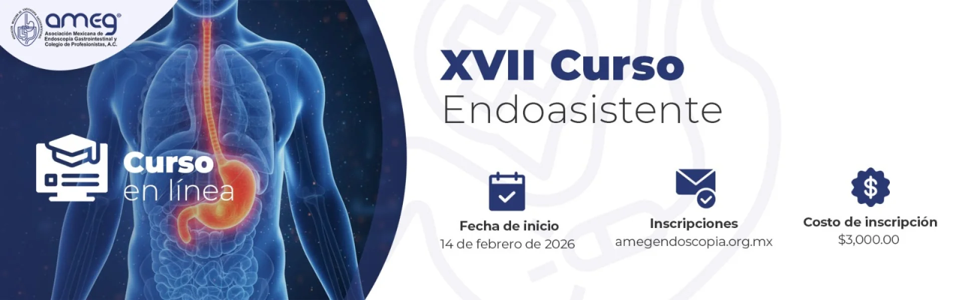 XVII Curso Endoasistente