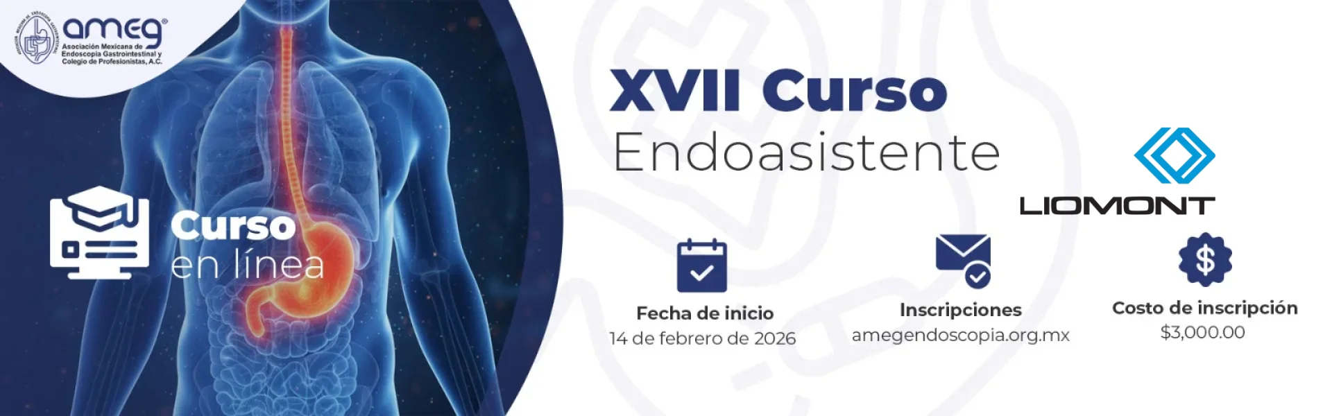 XVII Curso Endoasistente